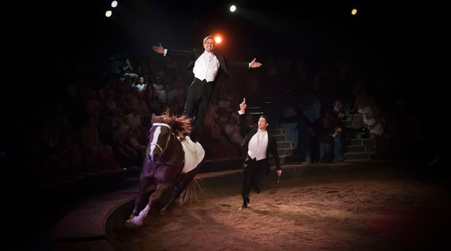 Cirque Alexis Gruss - Ellipse