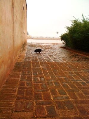 A chacun son voyage