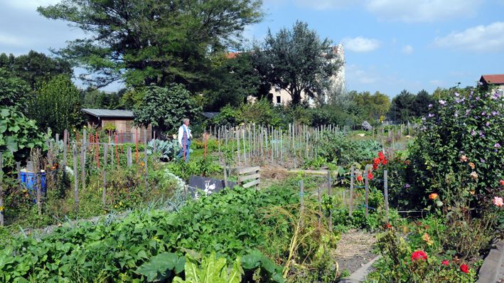 Jardins ouvriers Parc de Gerland