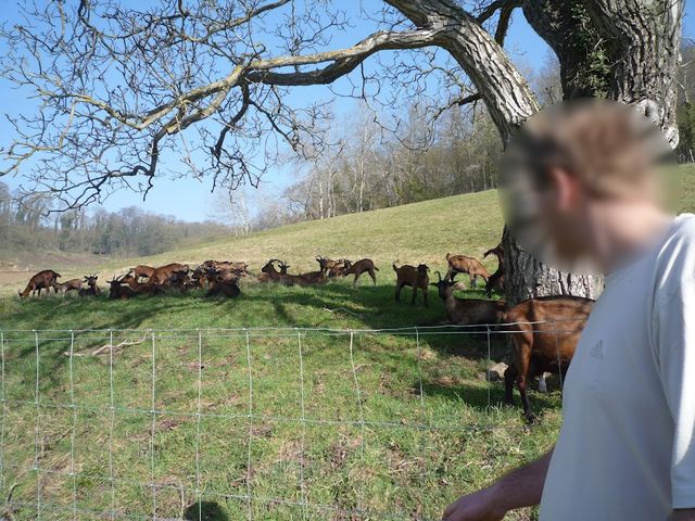La ferme s’est lancée dans la production de fromage de chèvres grâce à un résident fromager de métier.