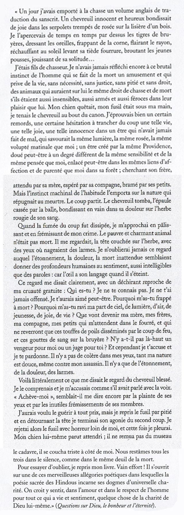 Pour en finir avec la chasse - Extrait