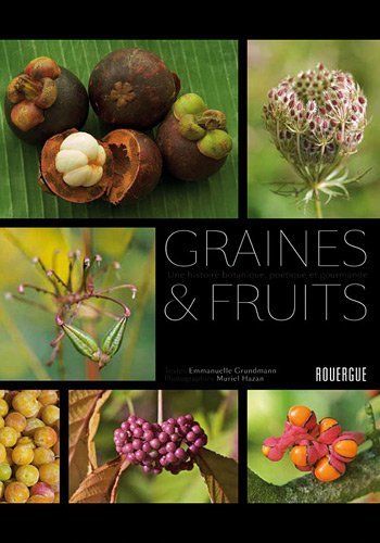 Graines et Fruits