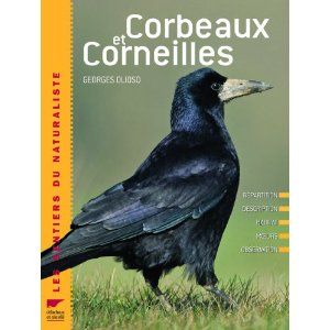 Corbeaux et Corneilles / georges Olioso