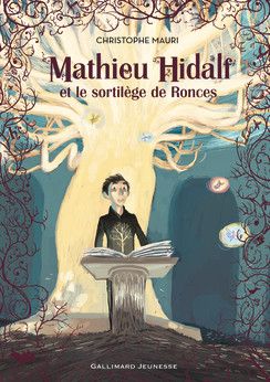 mathieu hidalf