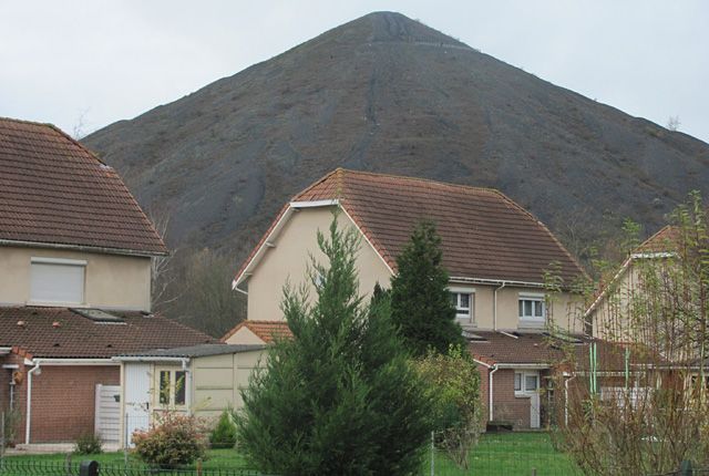 Lens_2681.jpg