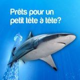 Requins