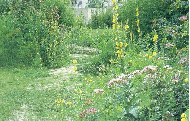 Parc André Citroen de Gilles Clément