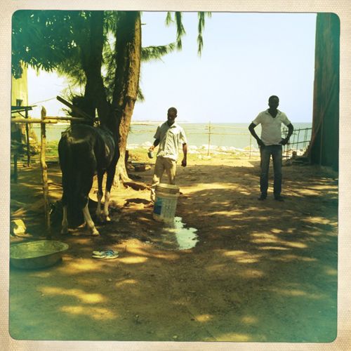 Cotonou