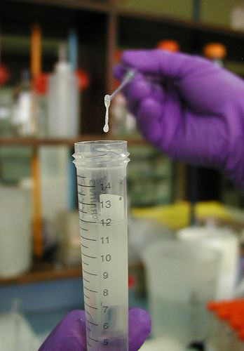 extraction ADN