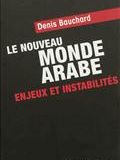 Le nouveau monde arabe : enjeux et instabilités