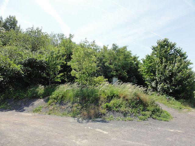 Terril n° 248 dit Cavalier du 24 d'Estevelles, Fosse n° 24 - 25 à Pont-à-Vendin