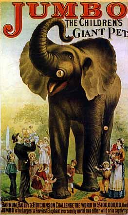 jumbo