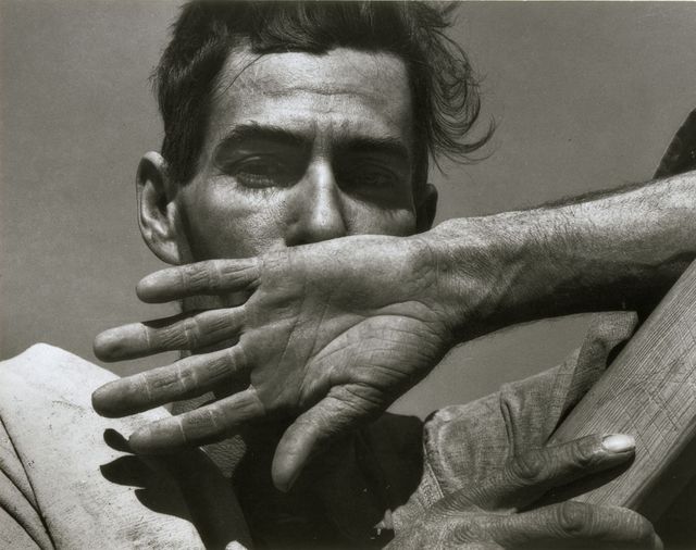 Cueilleur de coton saisonnier, Eloy, Arizona, 1940