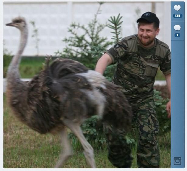 Photos instagram via alihan777