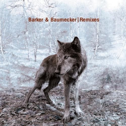 barker baumecker remixes