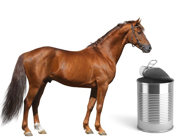 du cheval dans toutes les conserves