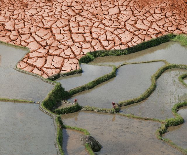 Climat terre craquelée