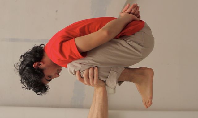 Acrobates