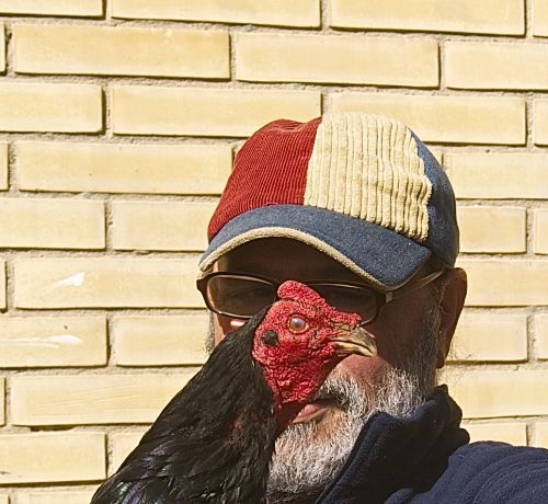 Bobote et son coq