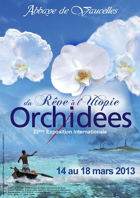 Orchidées