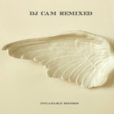 dj cam