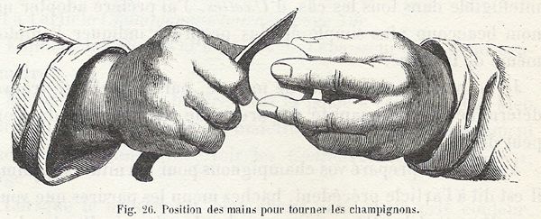 Comment tourner les champignions - livre de cuisine