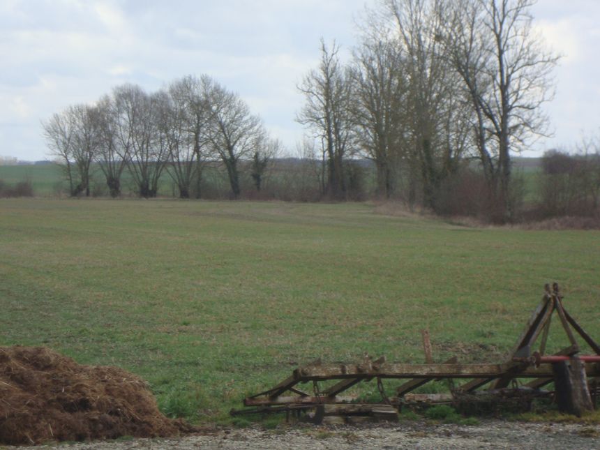 Le zoom de la rédaction, sur les pesticides