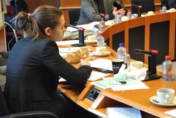 Amelia en réunion au parlement européen