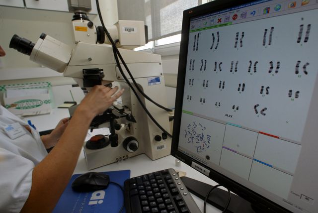 Des athlètes féminines possédaient un chromosome Y