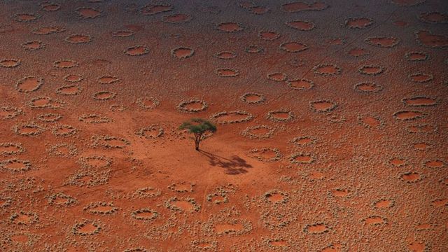 Les cercles de fées dans le désert de namibie