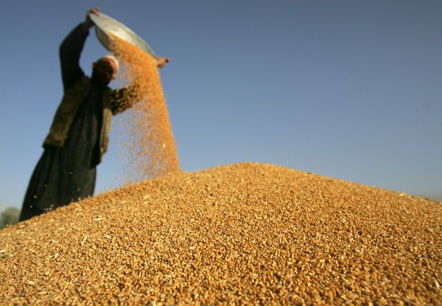 Un afghan crible la poussière du blé récolté à Bamiyan, au nord-ouest de Kaboul