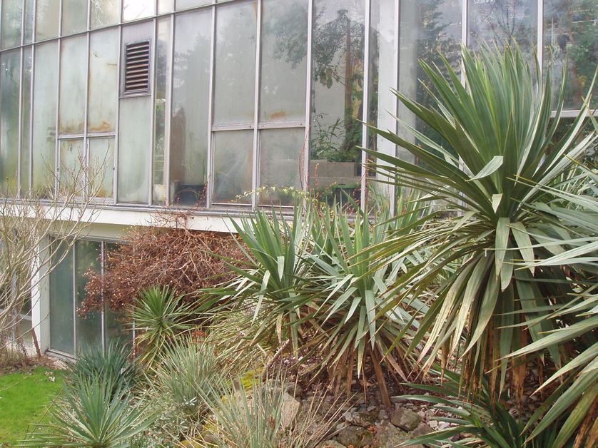 Serre chaude du Jardin botanique de l'Université de Strasbourg