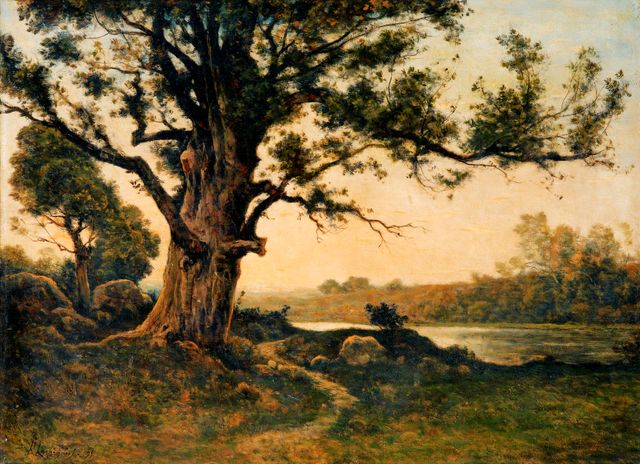 Le vieux Chêne - Huile sur toile de Henri Harpignies - 1895