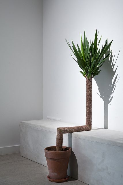Alter Nature - We Can - Reinier Lagendijk - Zonder Titel (2009)