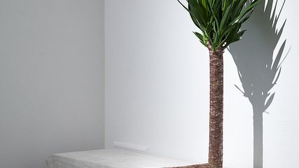 Alter Nature - We Can - Reinier Lagendijk - Zonder Titel (2009)