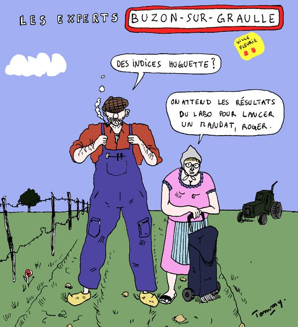 Les experts