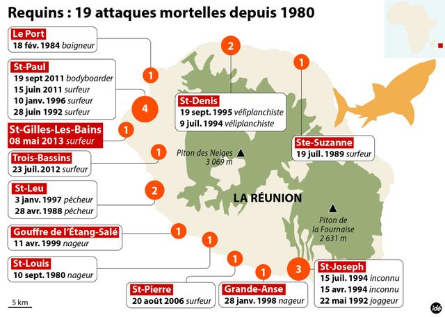 carte attaque requins
