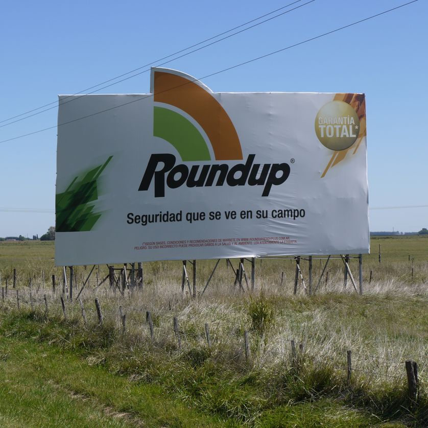 Des Argentins dénoncent les méfaits du Roundup, l'herbicide de Monsanto.