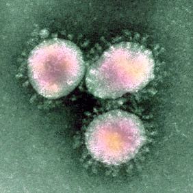 Coronavirus