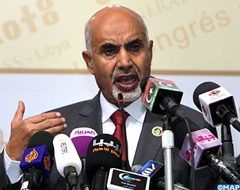 Mohamed al-Megaryef