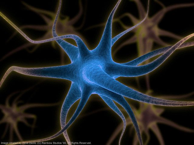 neurone