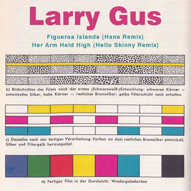larry gus