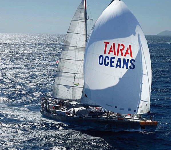 Tara