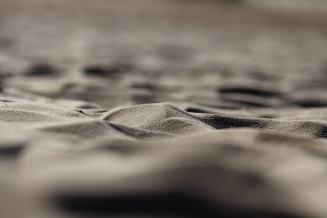 sable