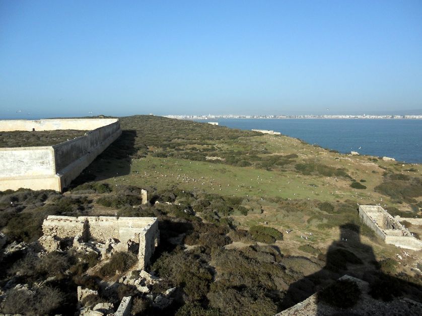 Essaouira, vue depuis l'île de Mogador