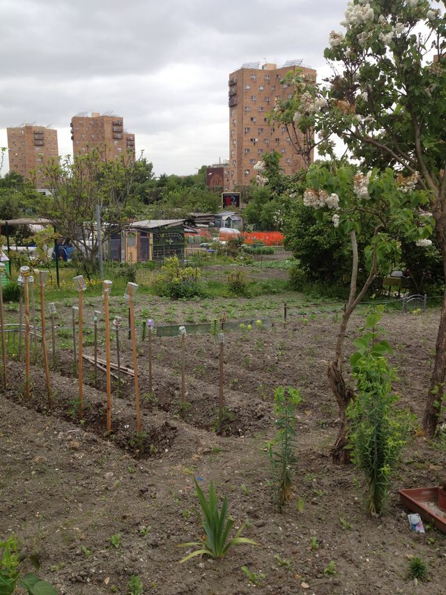 Le jardin des vertus