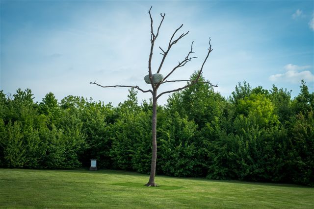 Giuseppe Penone / Versailles