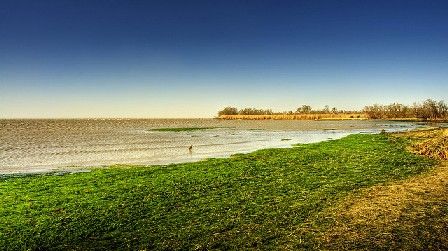 Camargue - Bouches du Rhône