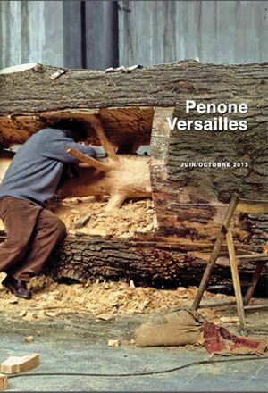 affiche penone