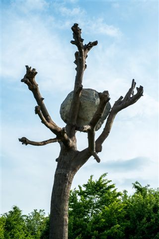 Giuseppe Penone / Versailles